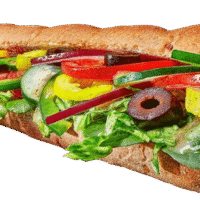 Veggie Delight Sandwich